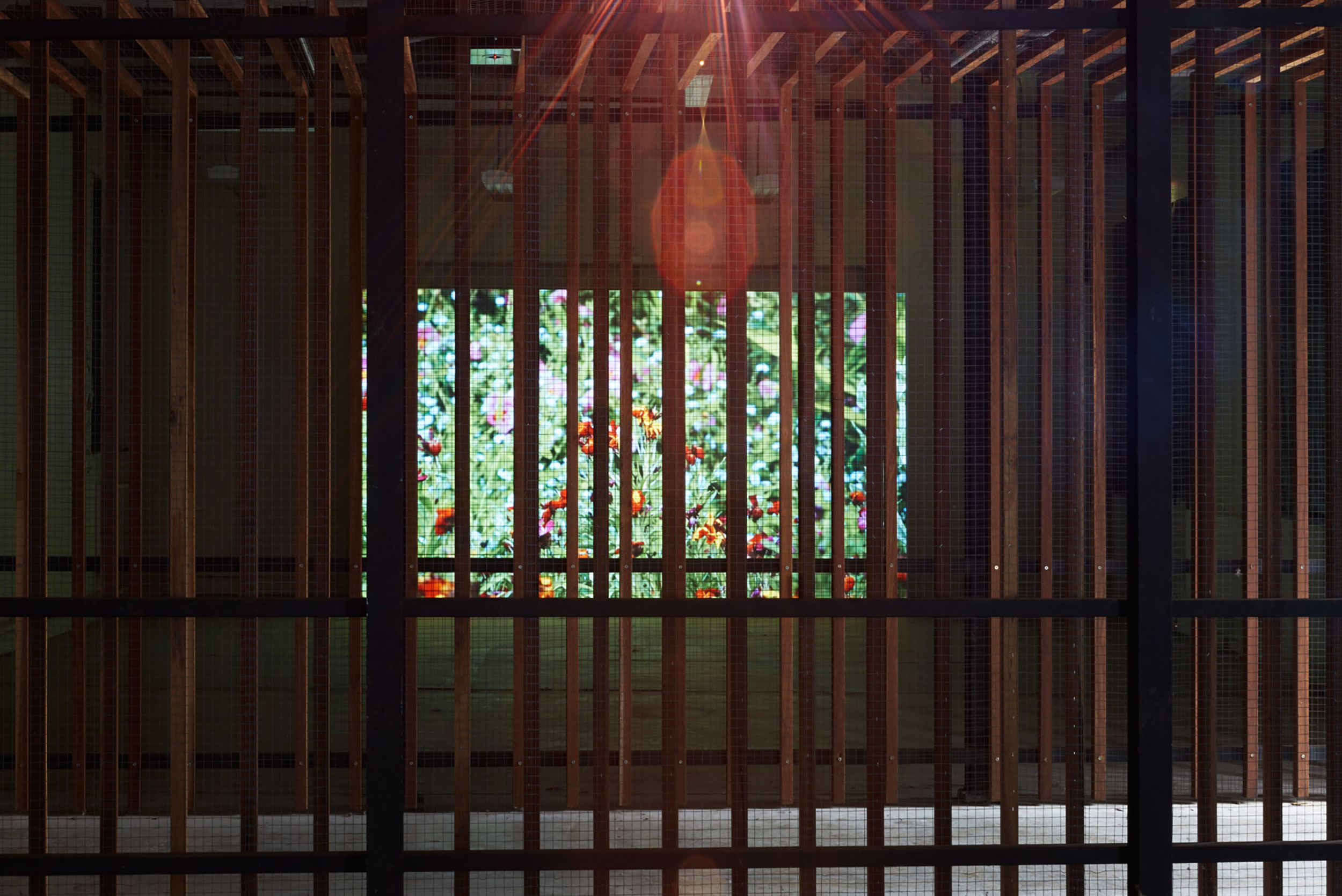 Flower video projection seen through the building's timber and wire structure
