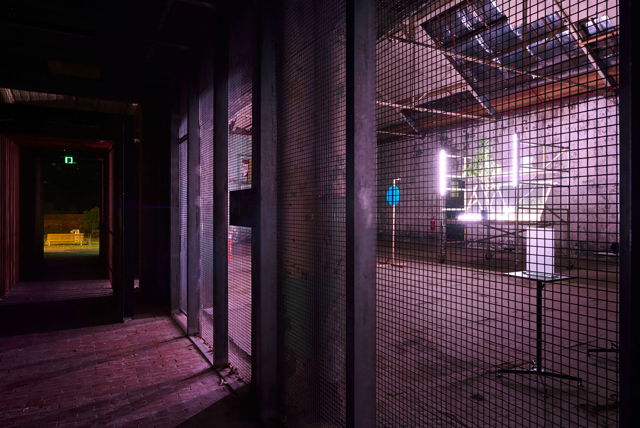 Tree installation and slide projection viewed through an industrial wire enclosure