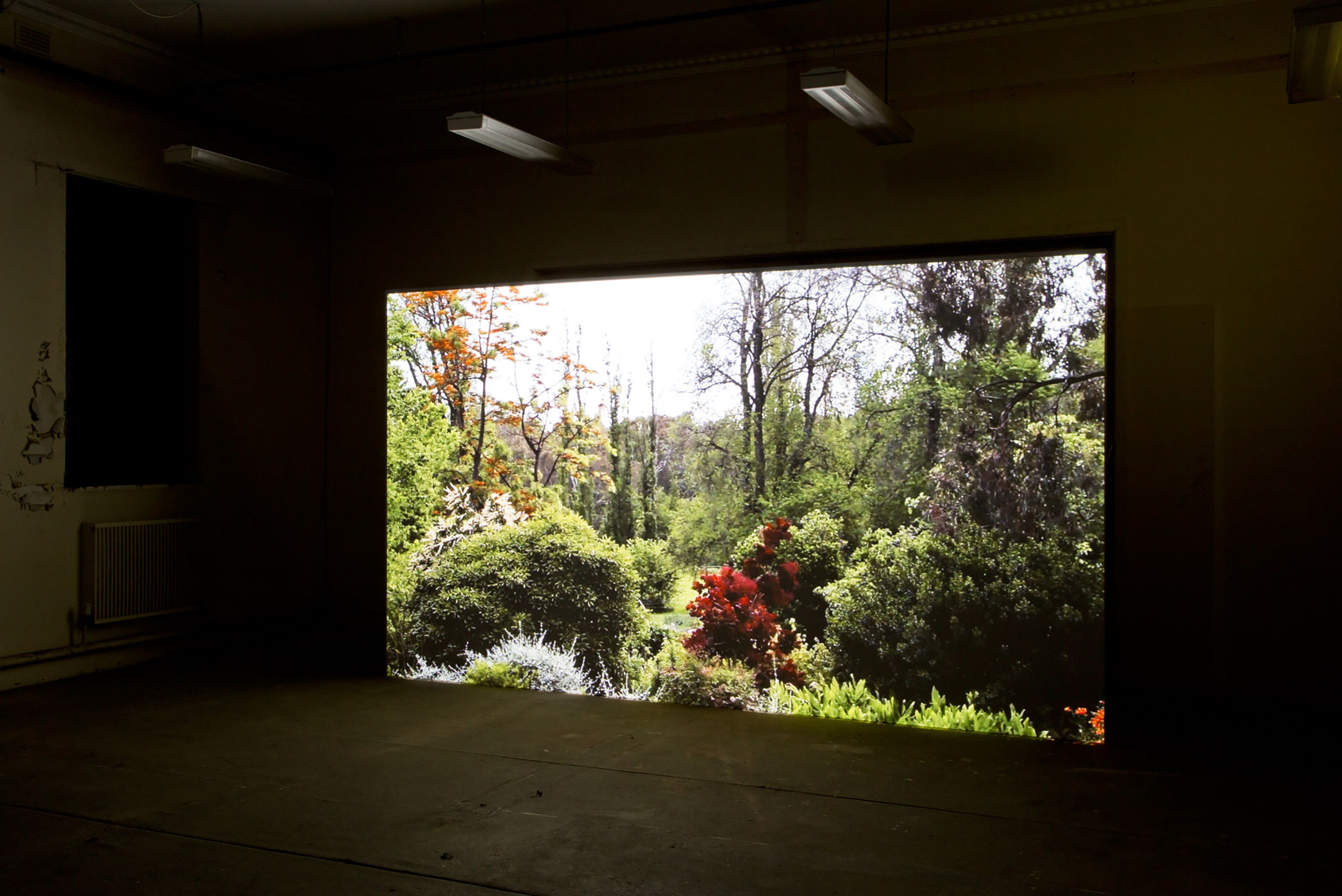 Large garden view projected across a dark gallery wall