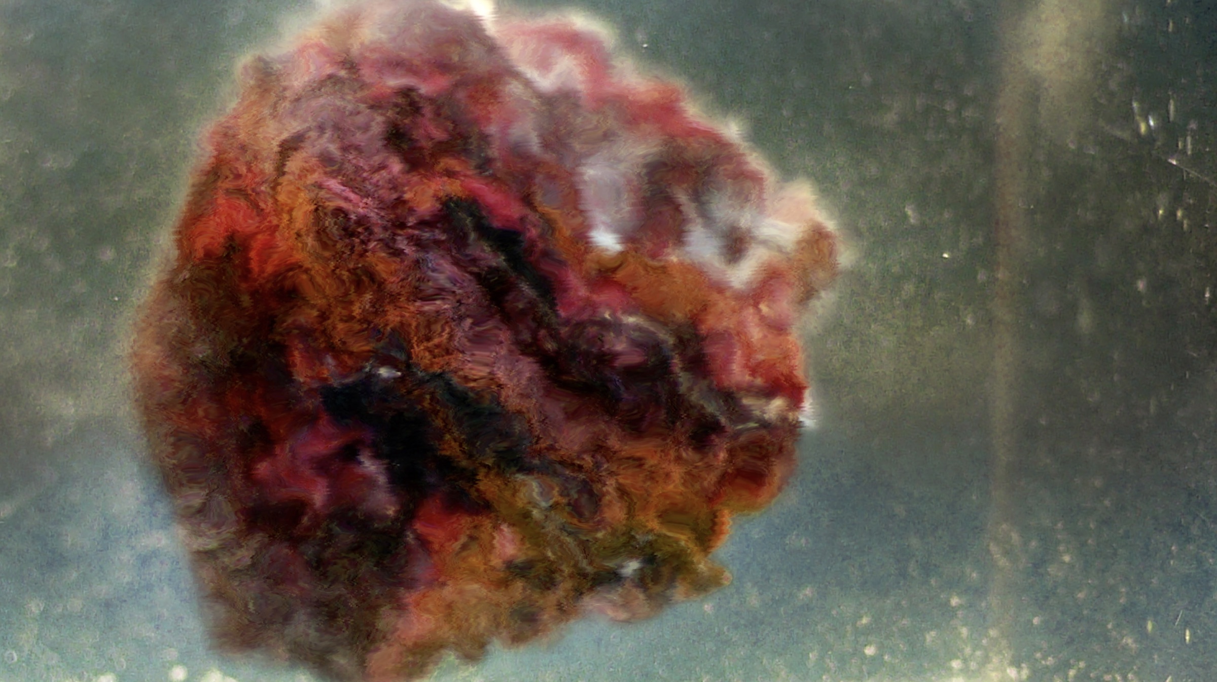 Still from Collider showing a shifting red organic form