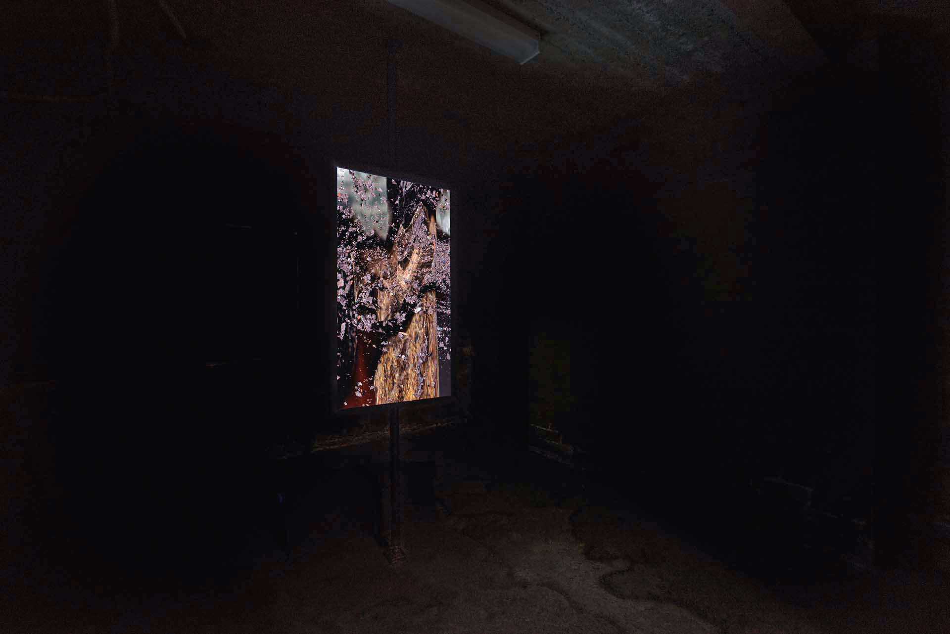 Dark installation view with a fragmented pink and brown image on an illuminated screen