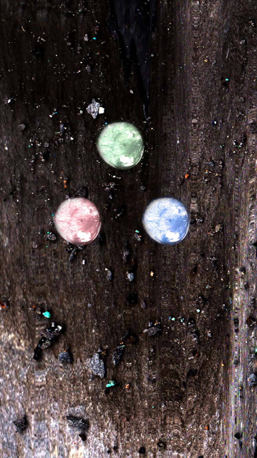 Close view of three pale coloured circular forms within a dark granular surface