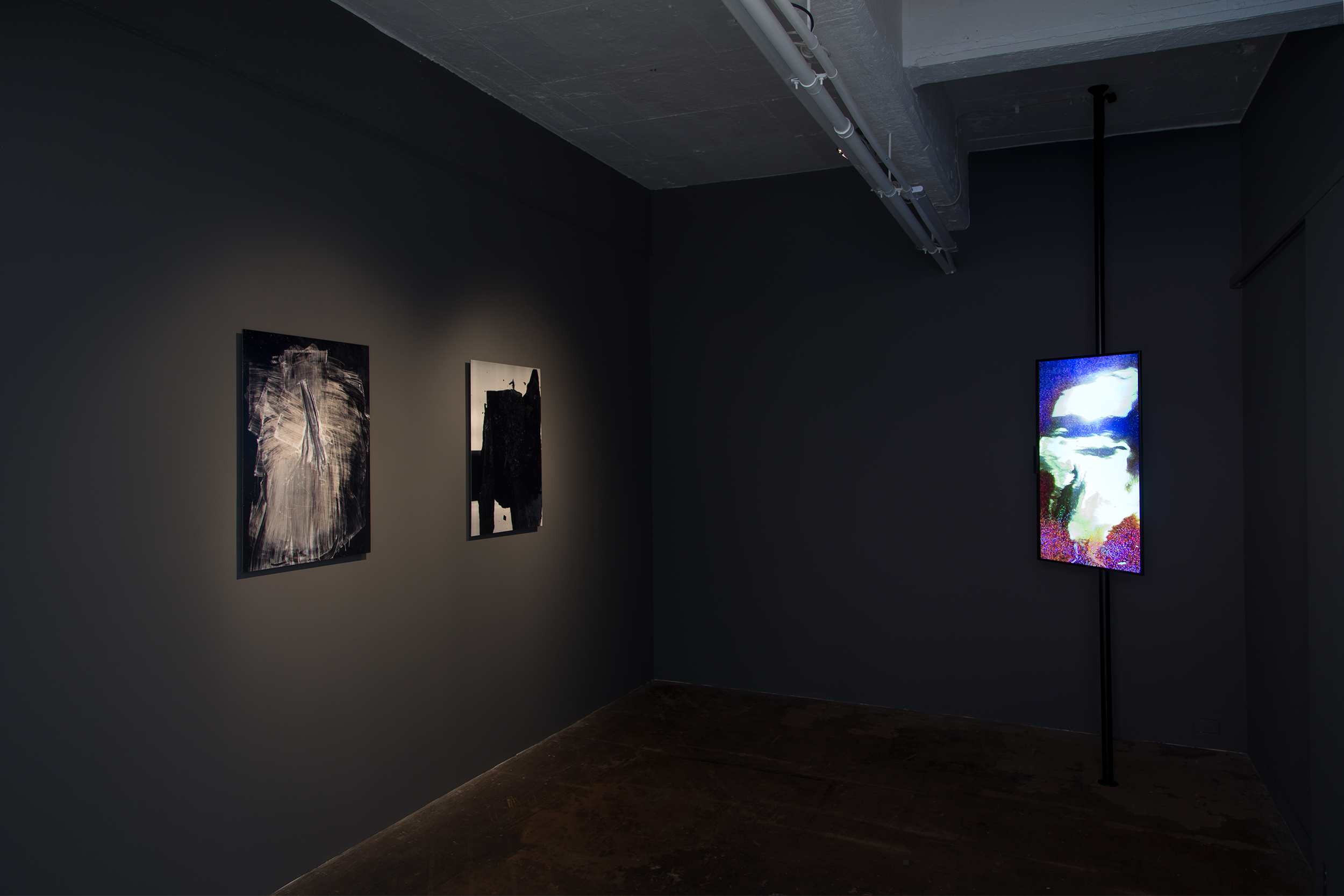 Installation view from Fieldcast at Bus Projects