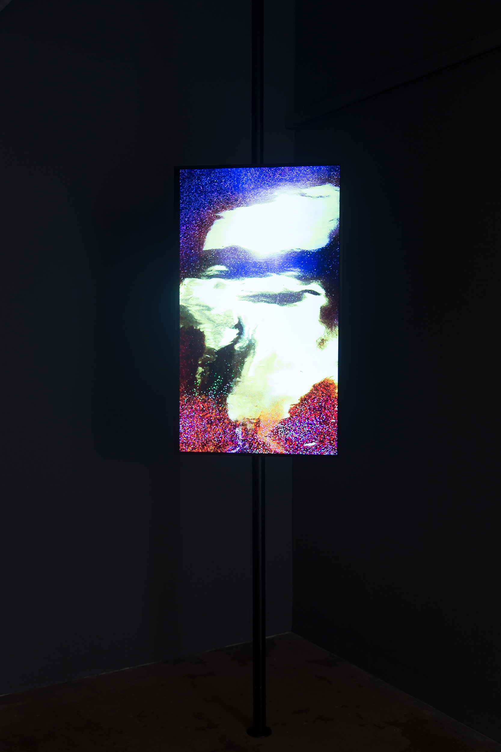 Fieldcast photographic work from the 2017 exhibition