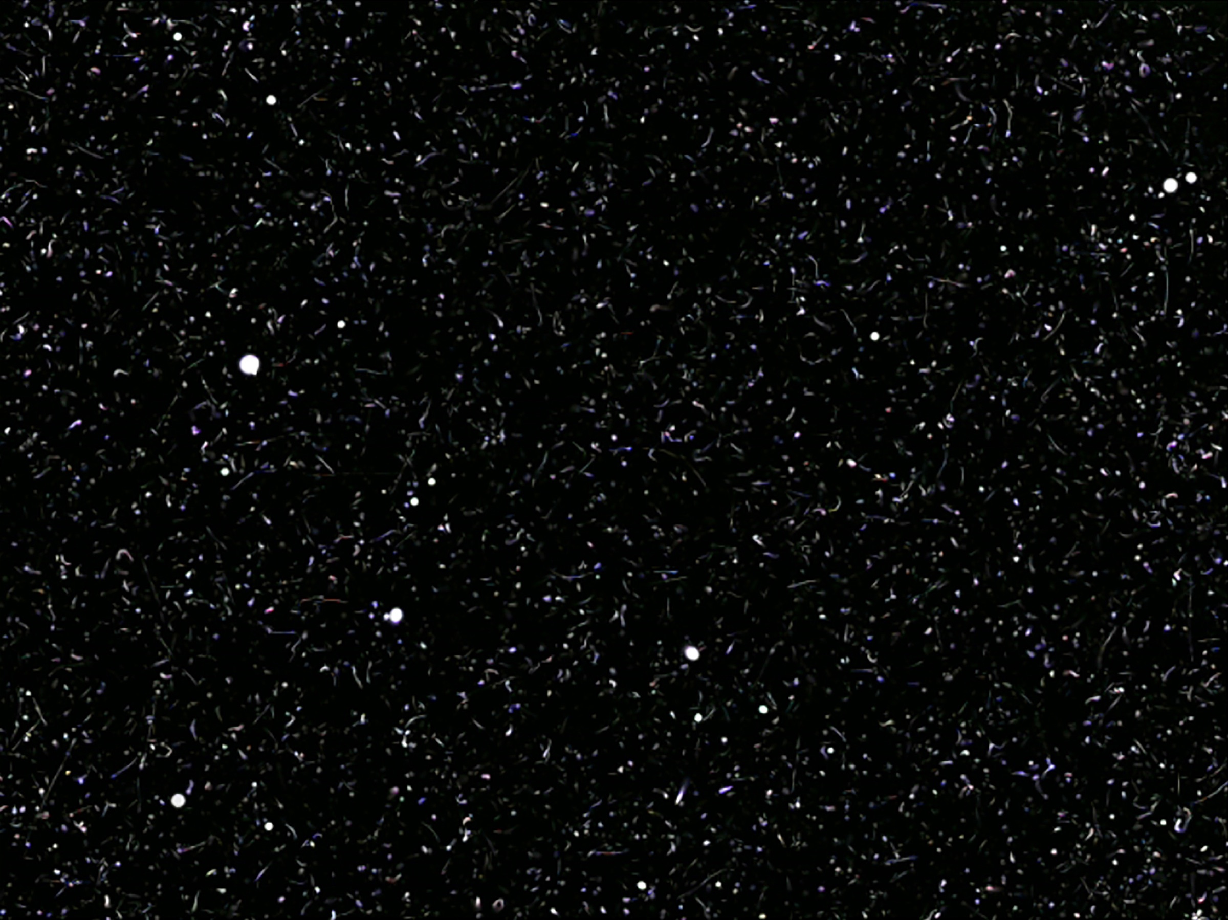 Dense field of luminous particle traces accumulated by the μMuography system